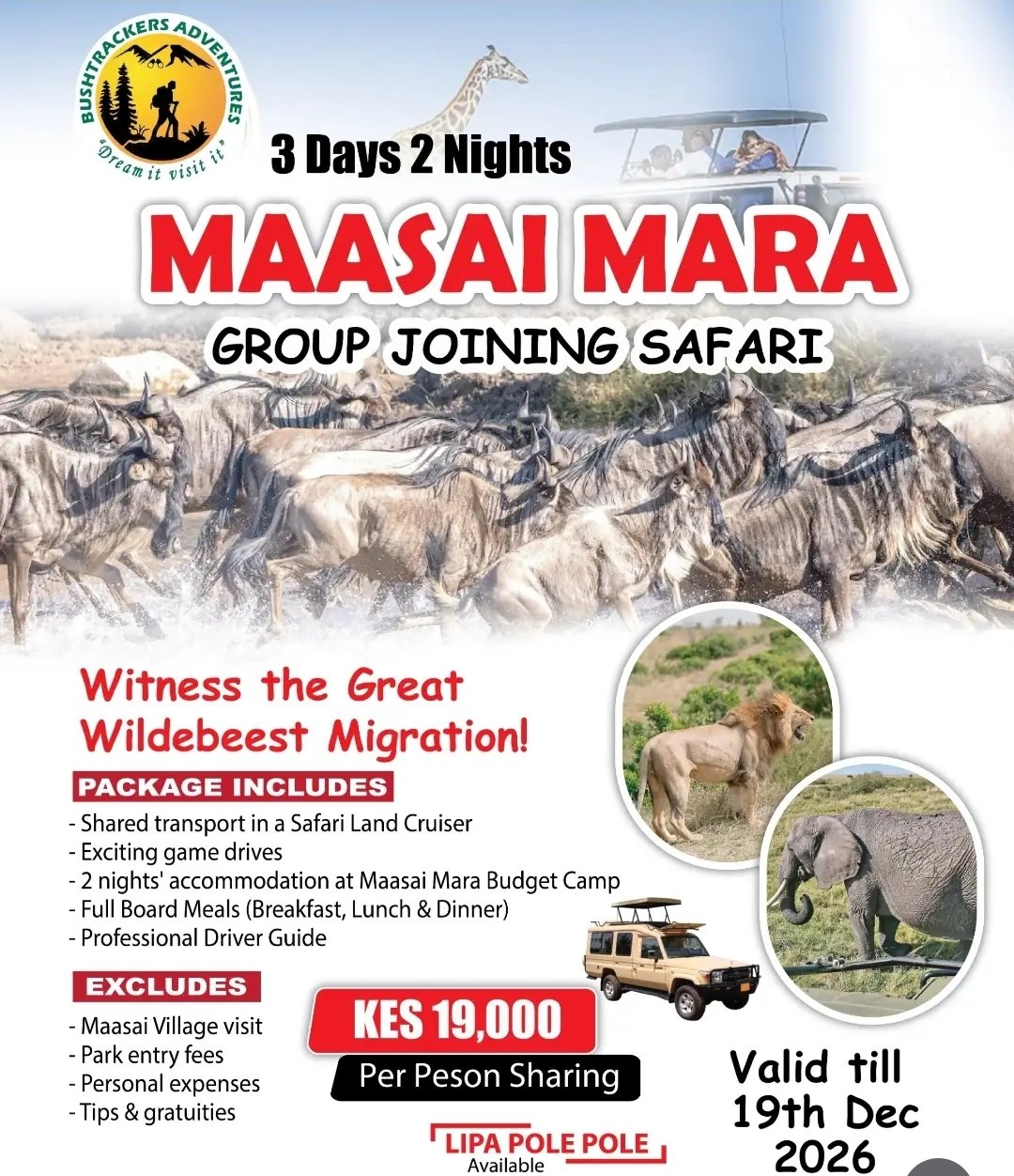 Maasai Mara flyer